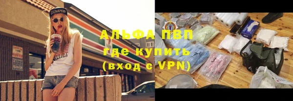 крисы Вязьма