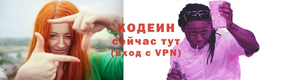 крисы Вязьма