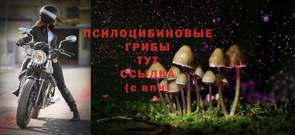 ALPHA PVP Володарск