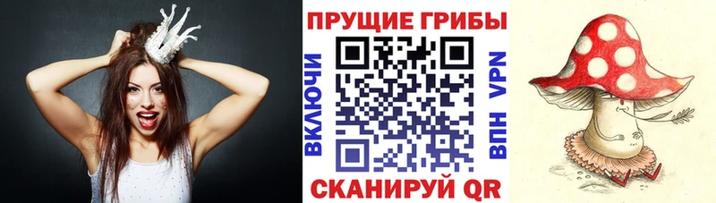 Псилоцибиновые грибы ЛСД  Купить где  Отрадный 